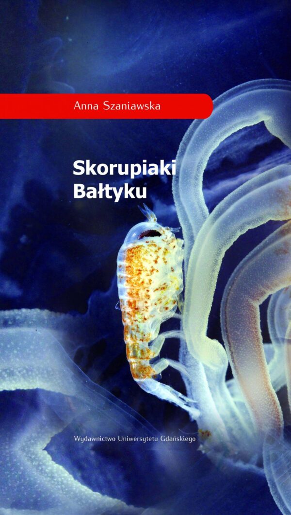 Skorupiaki Bałtyku - obrazek 2