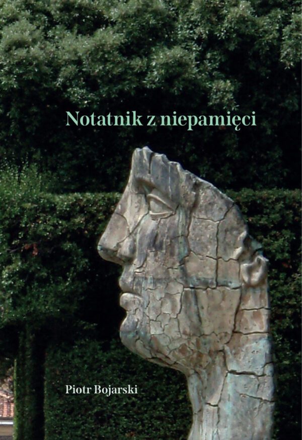 Notatnik z niepamięci - obrazek 2